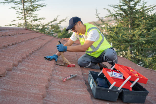Best Roof Gutter Cleaning  in New Bedford, MA