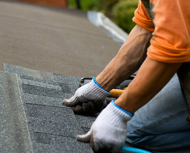 Quick and Trustworthy Emergency Roof Repair Services in New Bedford, MA